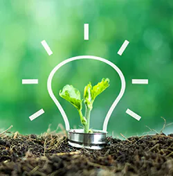 LED-Birne im Gr&uuml;nen